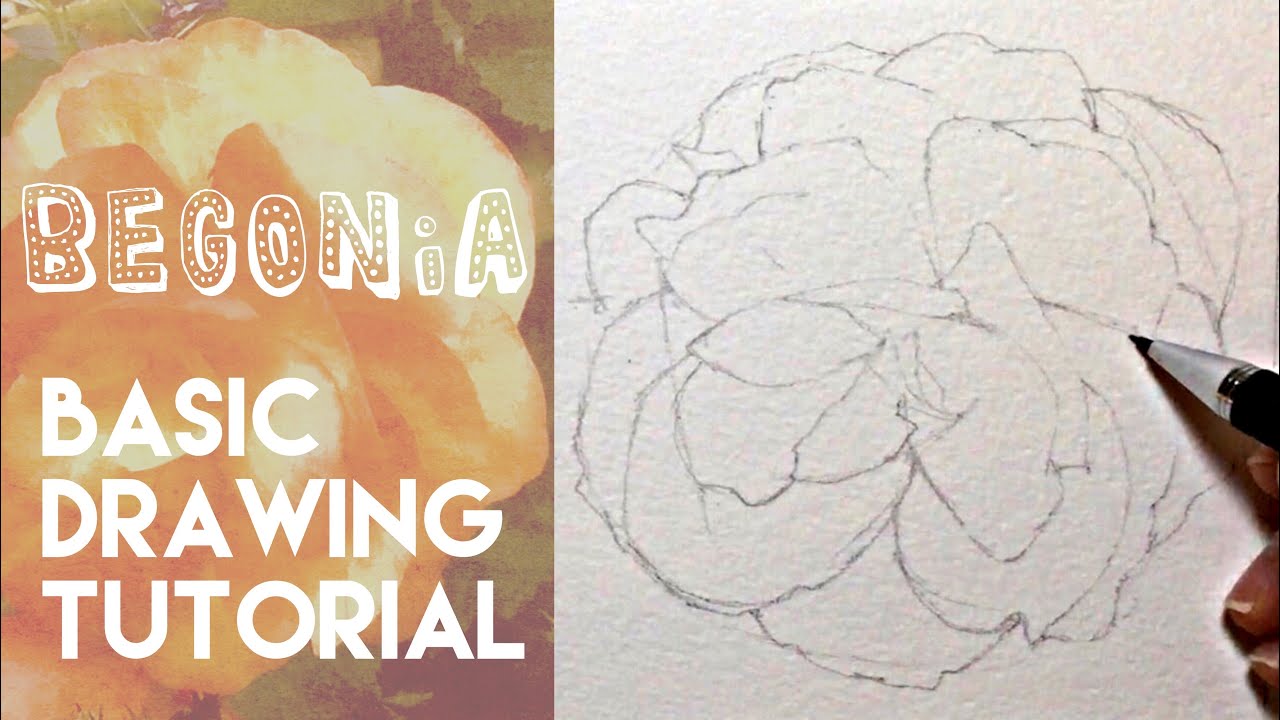 How to draw a Begonia flower // Flower drawing tutorial with pencil