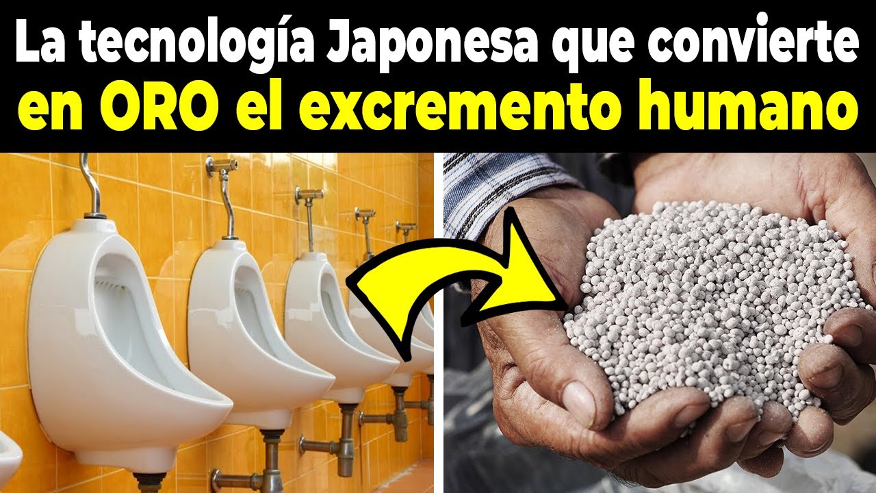Japón recurre a esta vieja tecnología japonesa que convierte el excremento HUMANO en ABONO