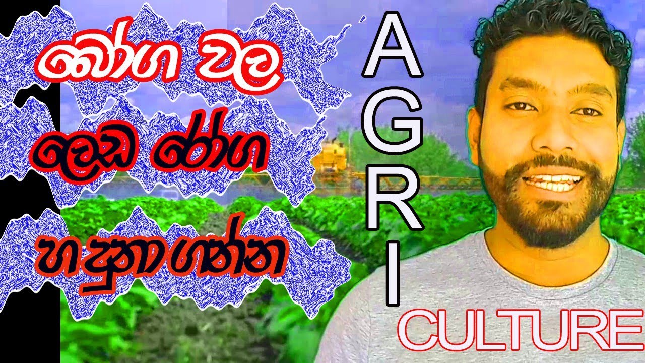AGRICULTURE SOLUTIONS..FOR CROPS..