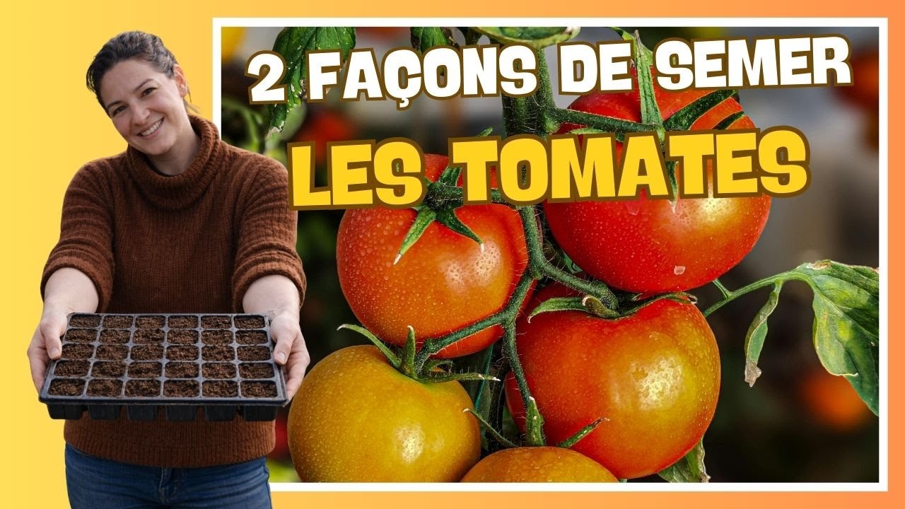 👩‍🌾 2 façons de semer les tomates