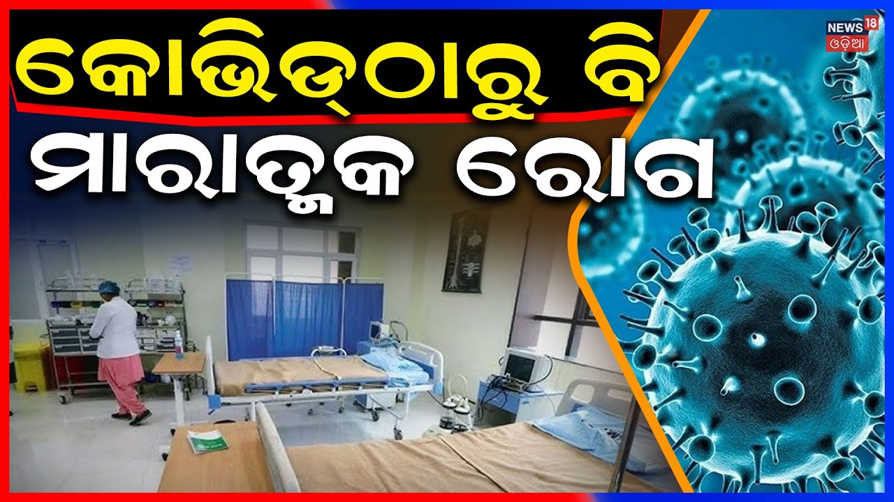 ମାଡ଼ିଆସୁଛି ଭୟଙ୍କର ଭାଇରସ୍ ! Nipah Virus Scare in West Bengal |Nipah Virus |Health Alert