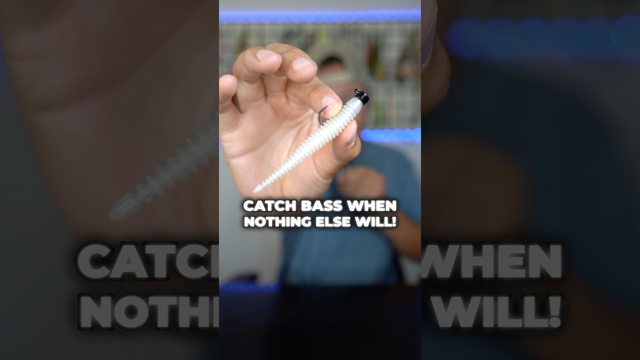 These Baits Catch Bass When NOTHING ELSE WILL! 🎣🔥#fishing