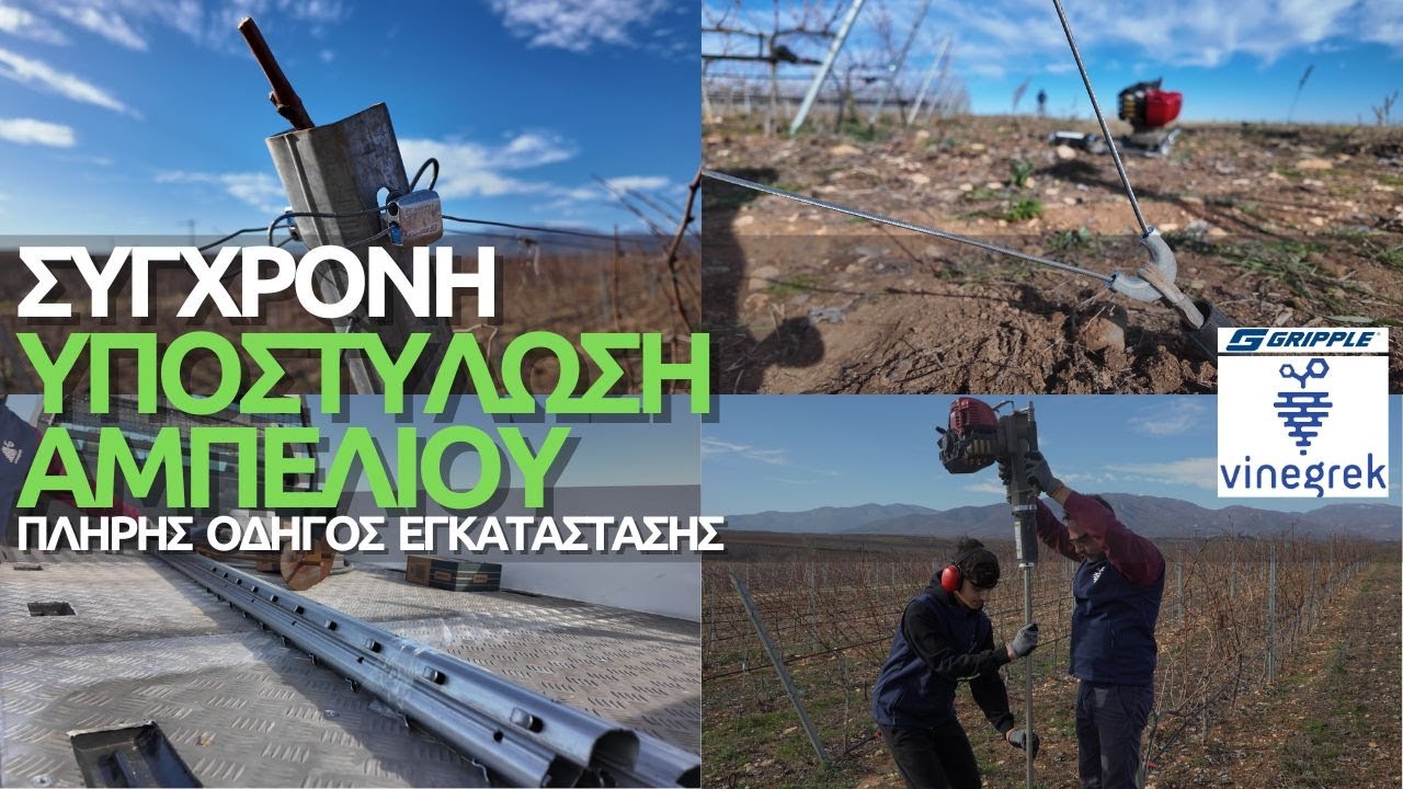 Σύγχρονα Συστήματα Υποστύλωσης Αμπέλου - Οδηγός Εγκατάστασης (2025)  @vinegrek2105  ​