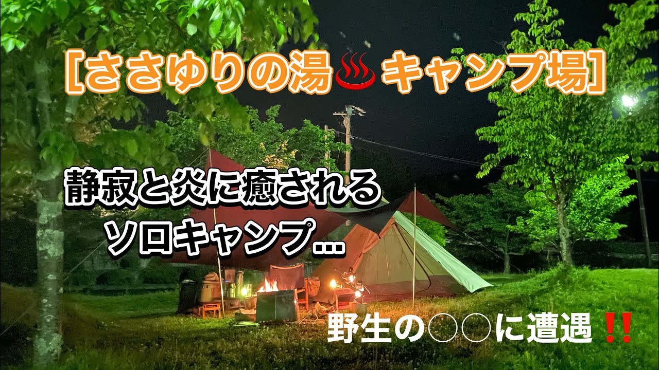 ［ささゆりの湯キャンプ場］静寂に包まれて...焚き火に癒されるソロキャンプ　酒を味わいながら...