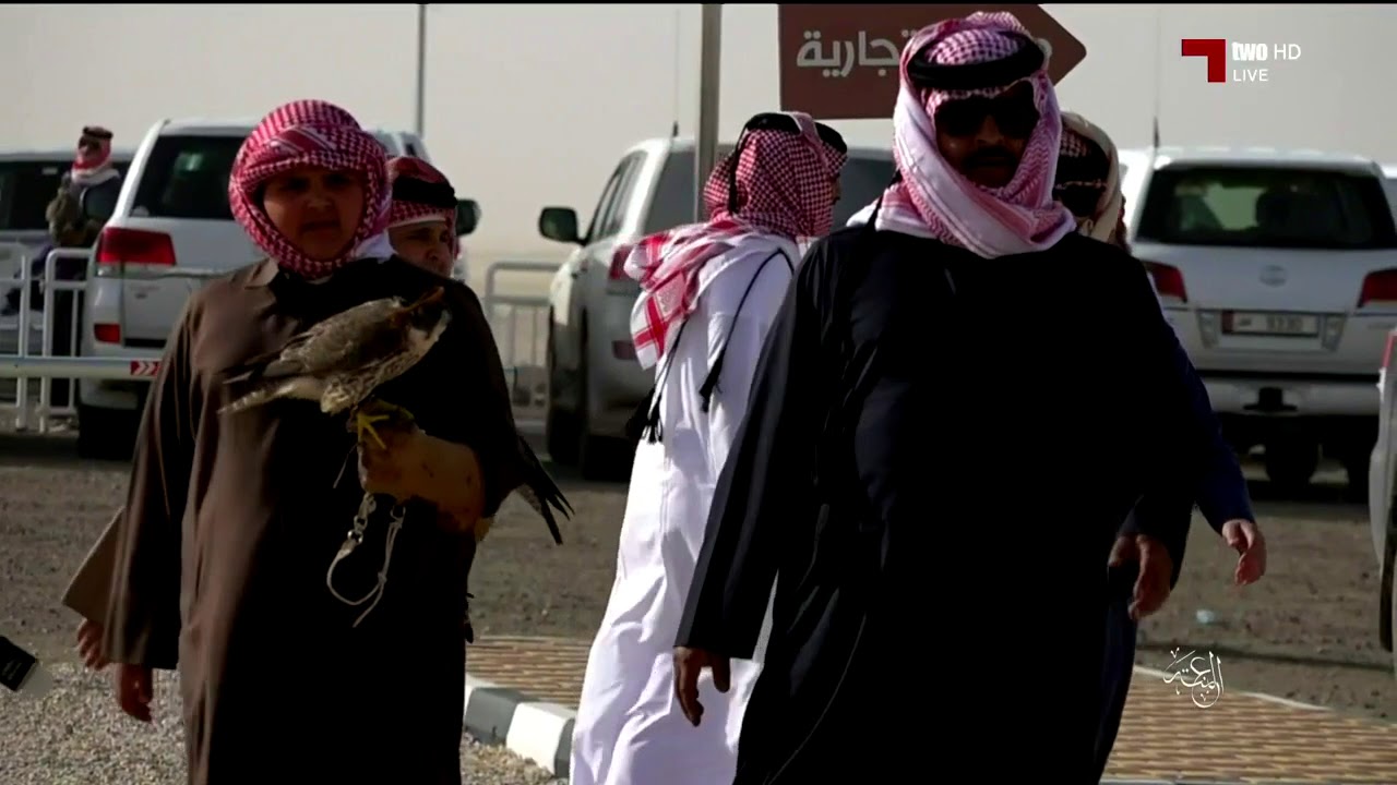 العنة .. تقرير - محمية الجنوب