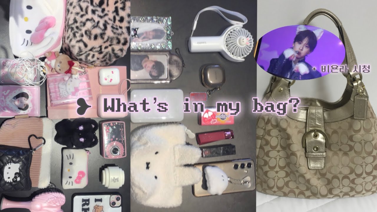 [위즈니 브이로그] ❥빠순이들의 왓츠인마이백𐙚⋆˚ ✴︎ What’s in my bag?💼 +비욘라(…) 시청 ✴︎ 위즈니 ✴︎ 스테이 ✴︎ 덕질 브이로그