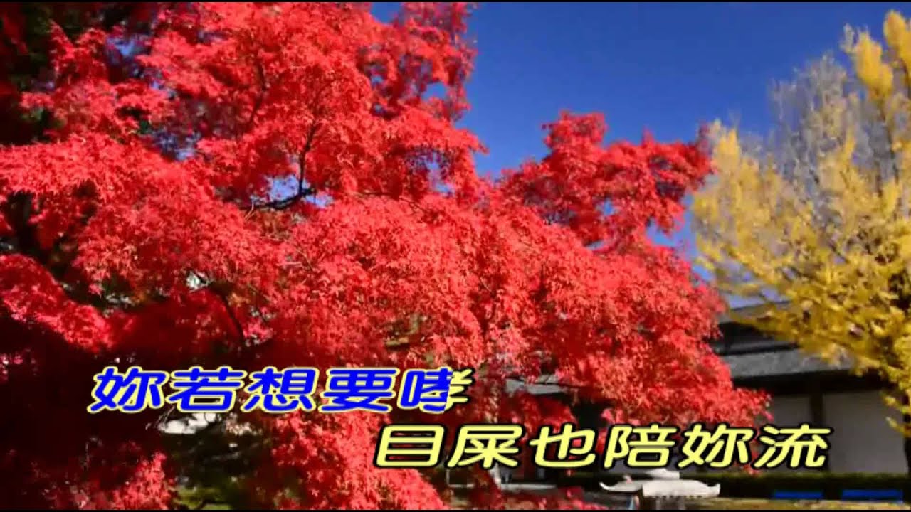 蔡小虎 - 女人的心