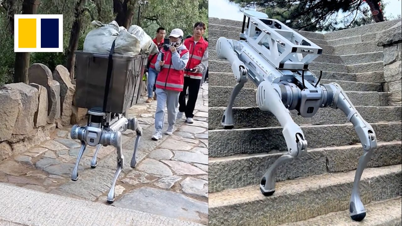 Robot dog takes over tough tasks on Mount Tai