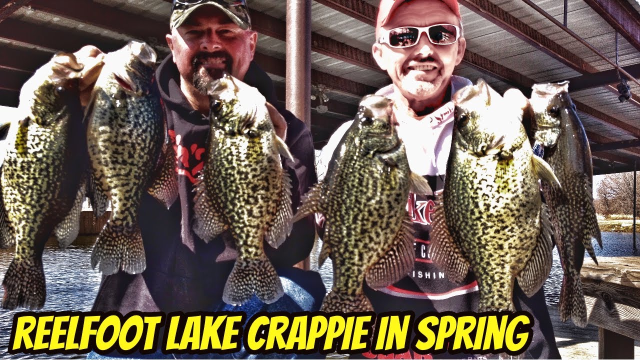 REELFOOT LAKE BIG BLACK SPRING SLABS- Full eps.