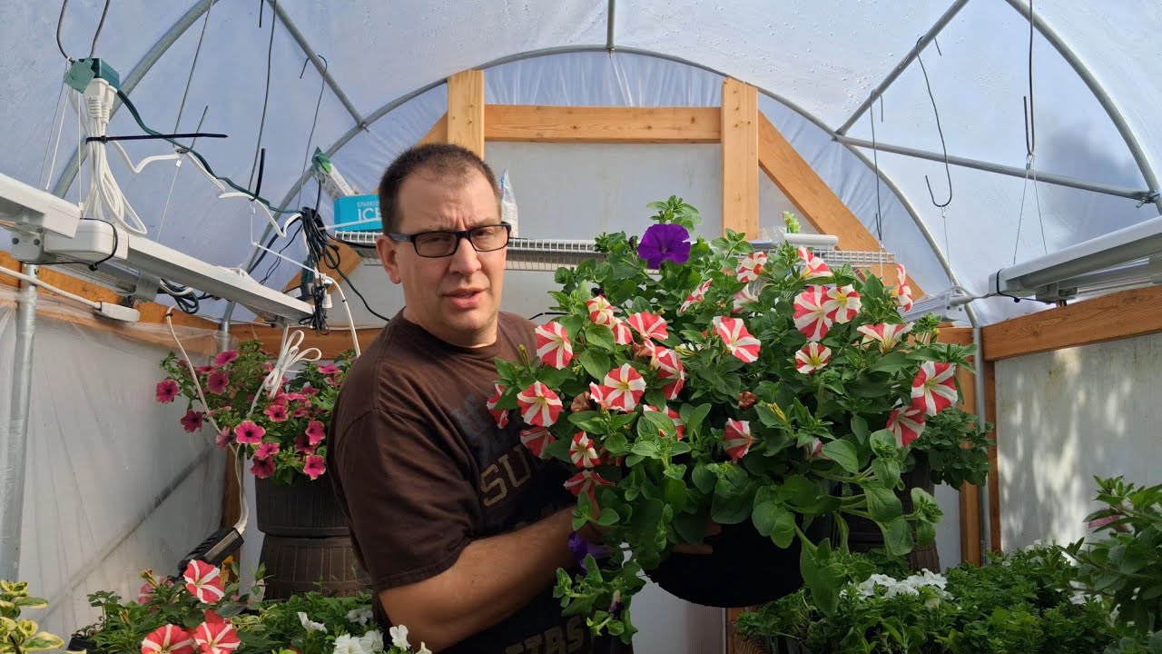 School Greenhouse Marketing 
