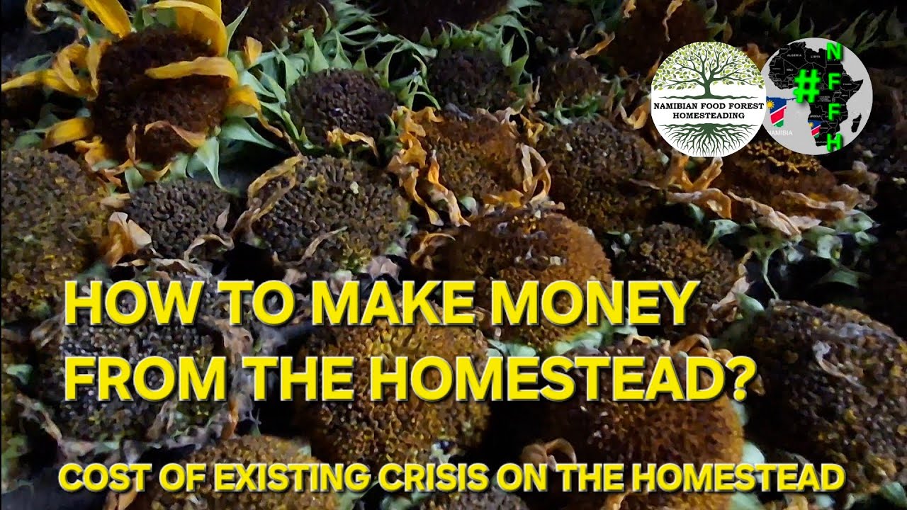 How To Make Money From The Homestead?