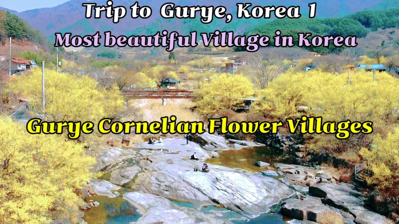 Trip to Gurye, Korea 1 -  Gurye Cornelian Villages, the most beautiful village in Korea
