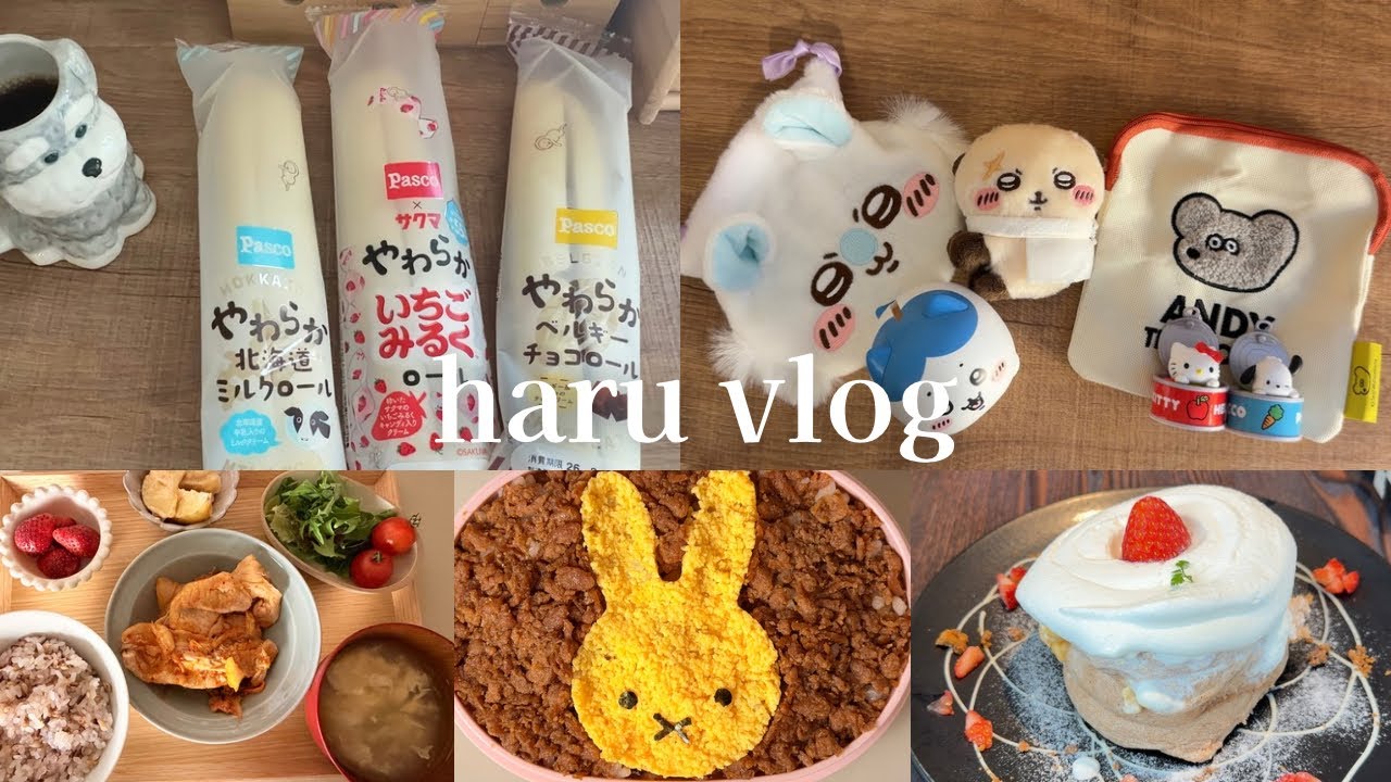 【vlog】自分の機嫌をとりながら過ごす毎日｜ガチャ活｜ミッフィー弁当