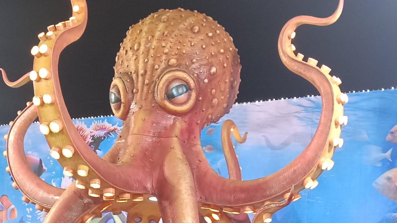 கடல் மீன் உலகம்  fish exhibition