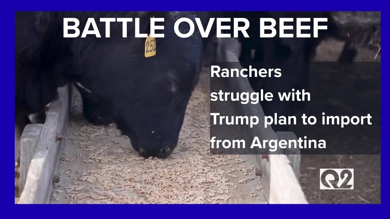 Montana cattle producers push back on Trump's Argentina beef import plan