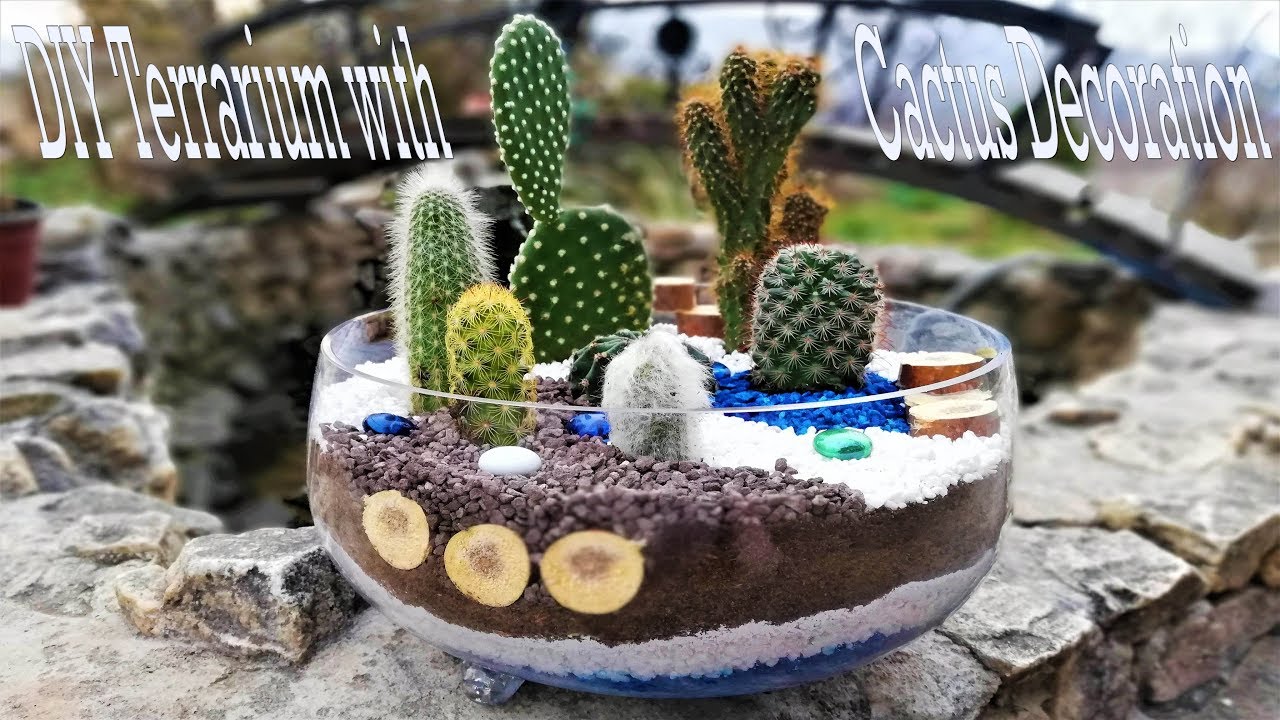 DIY Terrarium with Cactus and wooden decoration