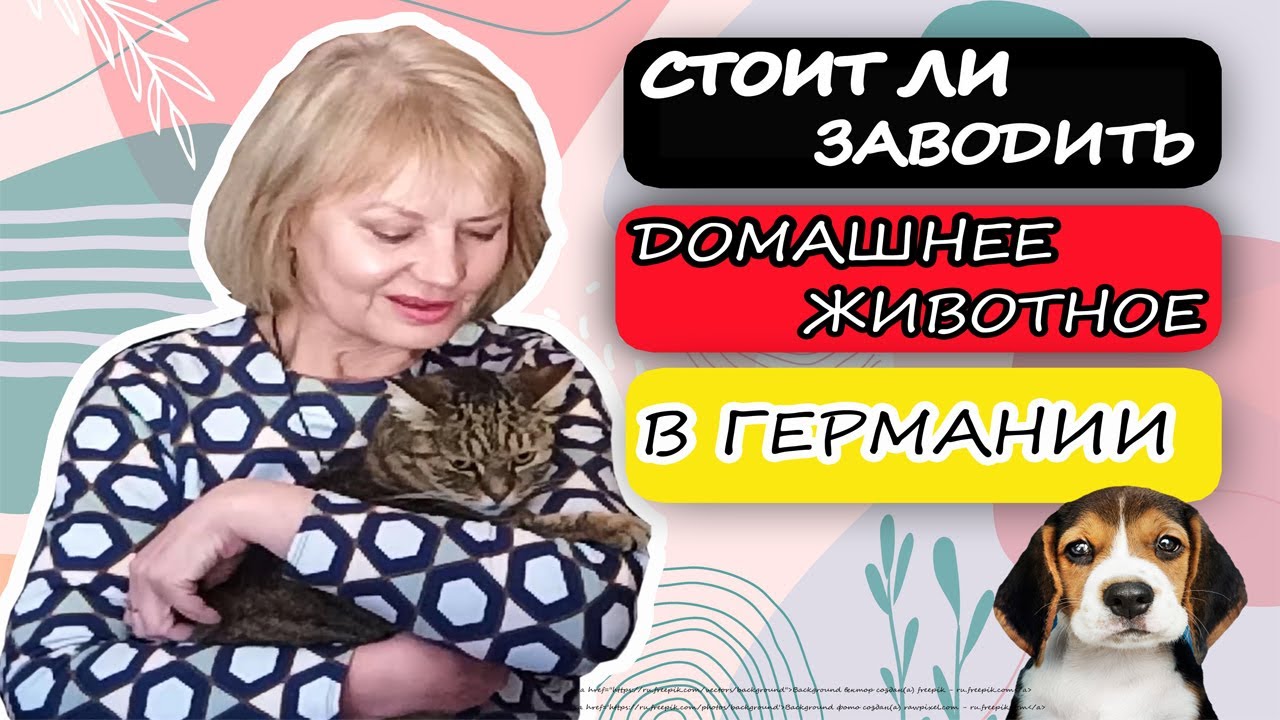 СТОИТ ЛИ ЗАВОДИТЬ ДОМАШНЕЕ ЖИВОТНОЕ В ГЕРМАНИИ