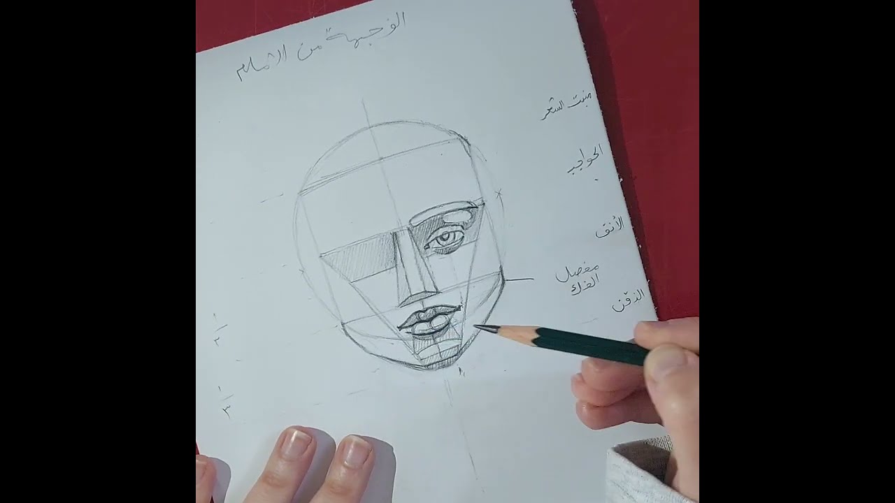 2/3 اساسيات رسم البورترية   زاوية أمامية