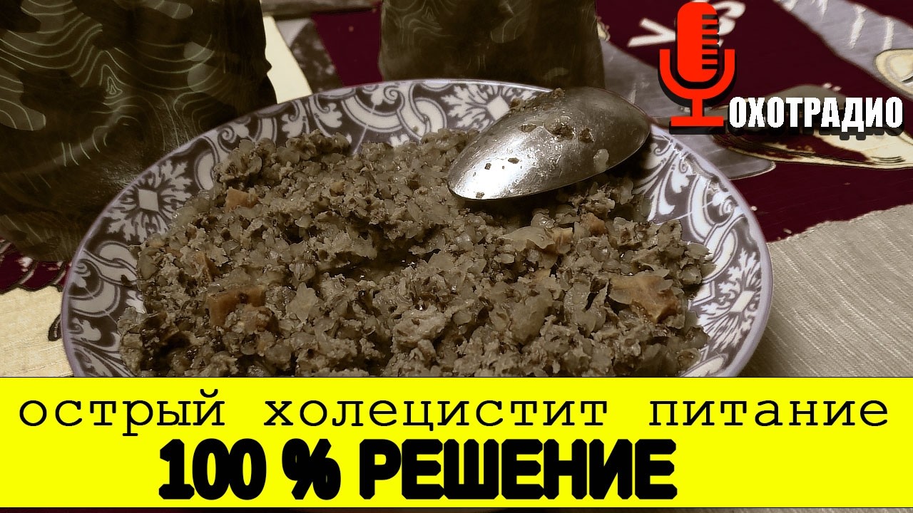 У ВАС ХОЛЕЦИСТИТ И КАК КУШАТЬ В ДОРОГЕ / НА ОХОТЕ / РЫБАЛКИ / В ПОХОДЕ🔴ОХОТРАДИО