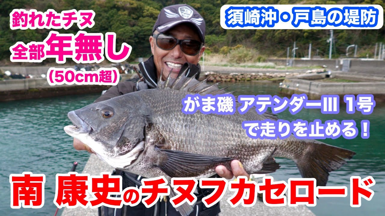 チヌ名人・南 康史  『がま磯 アテンダーⅢ』１号で大型年無しチヌを釣る  ロクマルを狙って高知県須崎 戸島の堤防でチヌ釣り　南 康史のチヌフカセロード