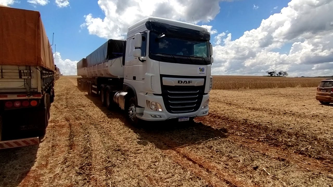 Daf 530 XF   intermediário