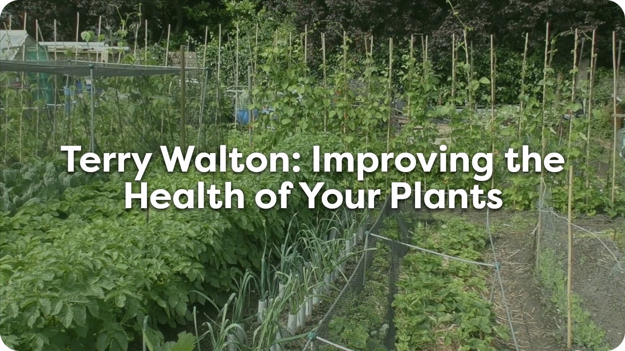 Organic Gardening with Terry Walton - How To Improve The Health Of Your Plants