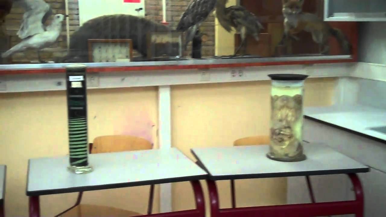 Flip in de klas Ichthus Kampen Kees.wmv