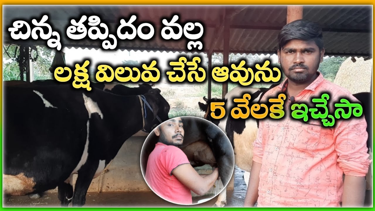 డైరీ ఫాంలో అవగాహన లేకపోతే చాలా కష్టం‍|young farmer srikanth dairy farm|malleshadla|