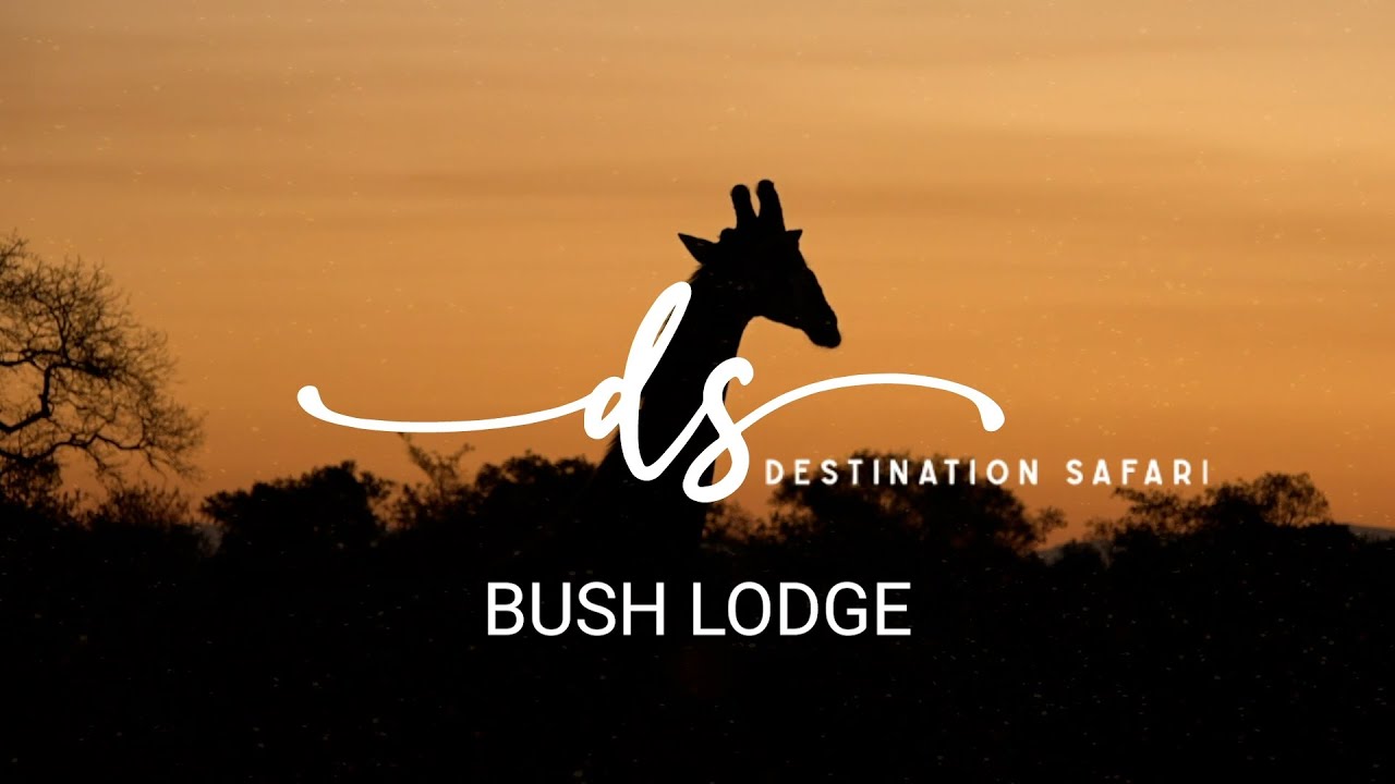 Destination Safari: Bush Lodge
