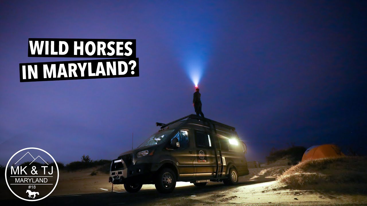 ASSATEAGUE ISLAND CAMPING