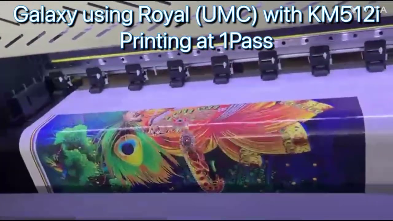 KM512i Flex Printer, Solvent Printer, 1Pass Printing