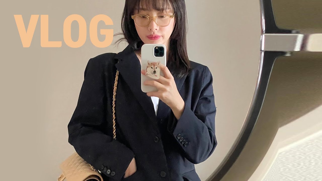 [vlog]직장인 브이로그(최신 유행머리..이게맞아?/집밥 갈선생/카레와 소고기구이/월남쌈 해먹기/와인 추천/알차게 노는 휴가/역전할맥 치킨금지;;/언박싱 특집/시바견 택이)