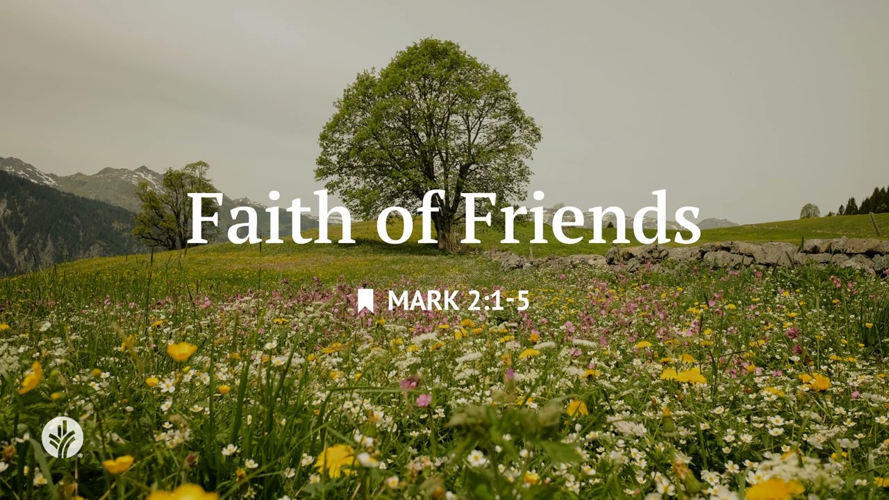 Faith of Friends | Audio Reading | Our Daily Bread Devotional | February 28, 2026