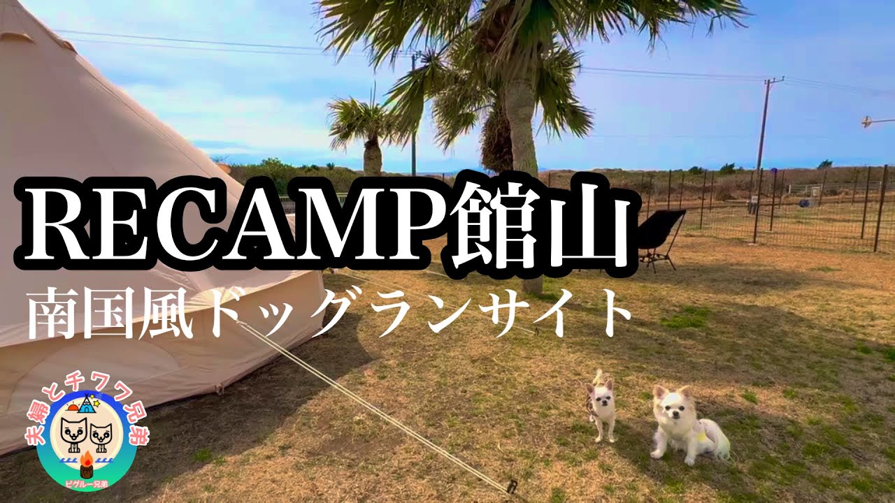 【犬連れ夫婦】高規格 電源&水場付ドッグランサイト 2月もぽかぽかな【リキャンプ館山】ワンコも楽しむ冬キャンプ