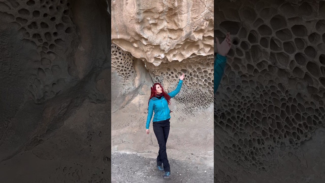 Have you EVER seen this? Part 1 #tafoni #geology #rockhound #rock