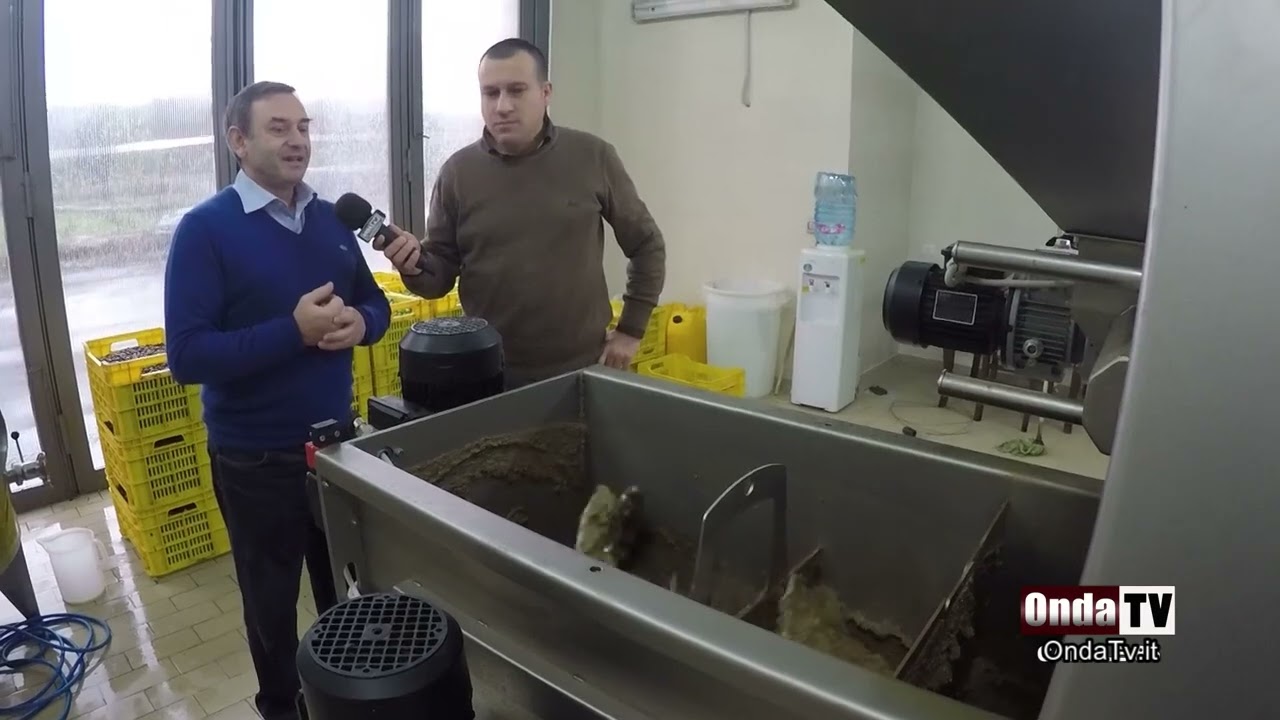 Come funziona il mini frantoio aziendale