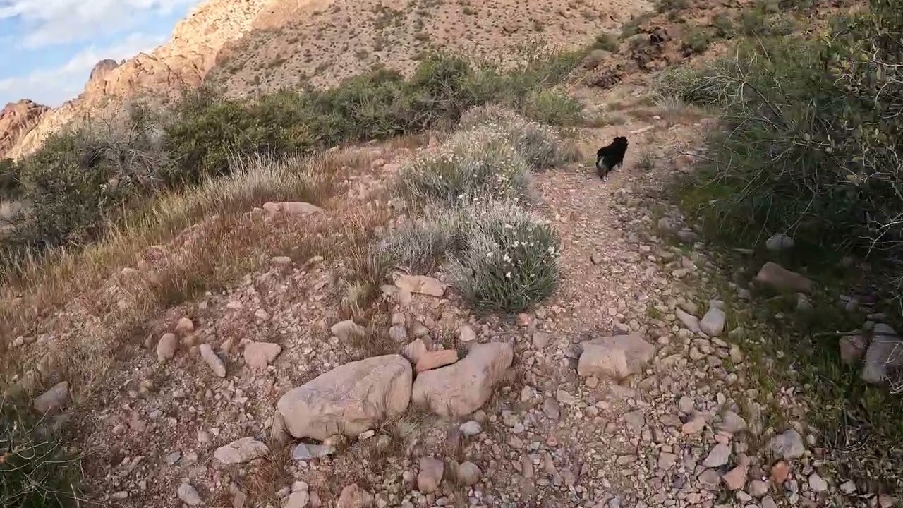3 of 4 Queen Canyon, KofA WR AZ