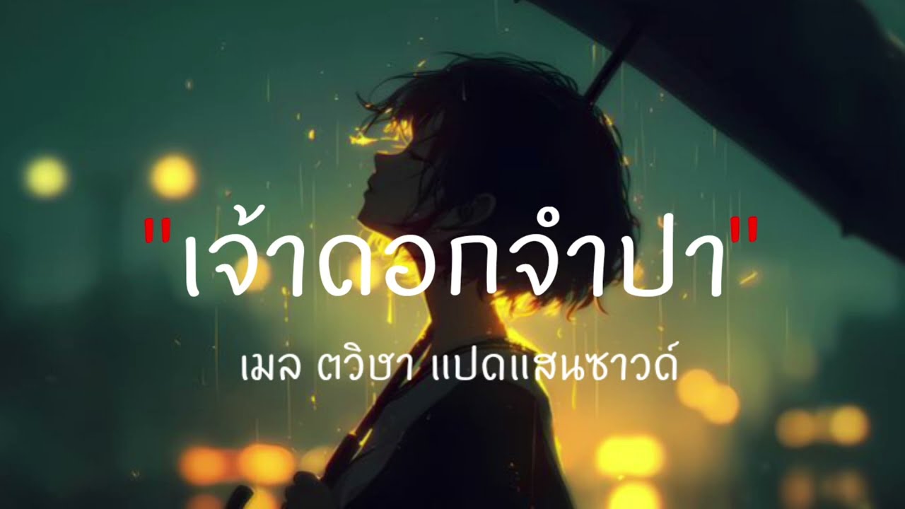 เจ้าดอกจำปา - เมล ตวิษา แปดแสนซาวด์//เนื้อเพลง//