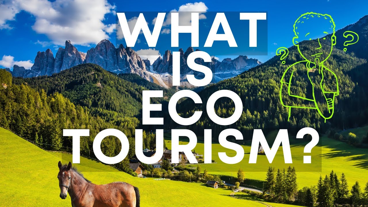 WHAT IS ECO TOURISM | ECO TOURISM | SUSTAINABLE TOURISM | eNVIRONMENTALY FRIENDLY TOURISM