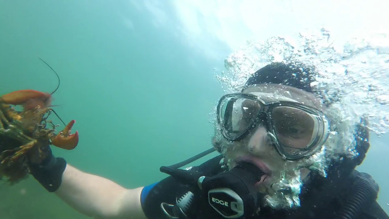 Lobster Diving Cape Cod