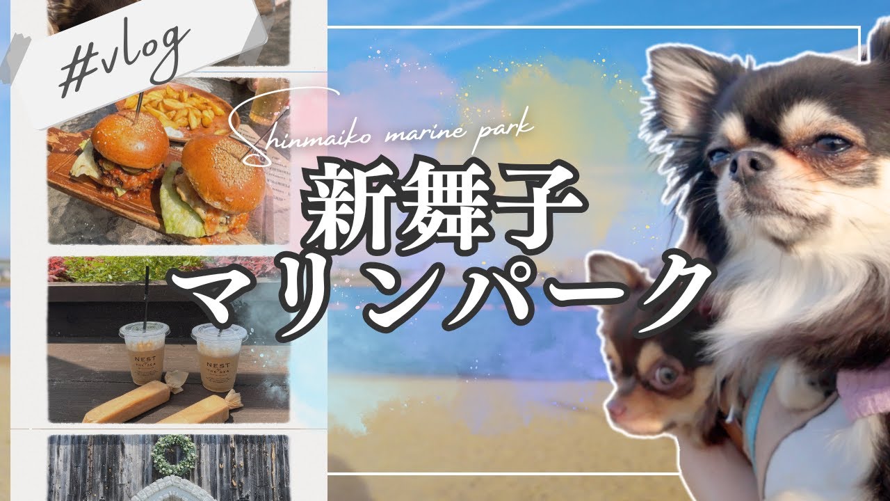 【犬と行けるスポット】知多市新舞子でチワワと楽しむ！愛犬OKスポット巡りで癒される1日