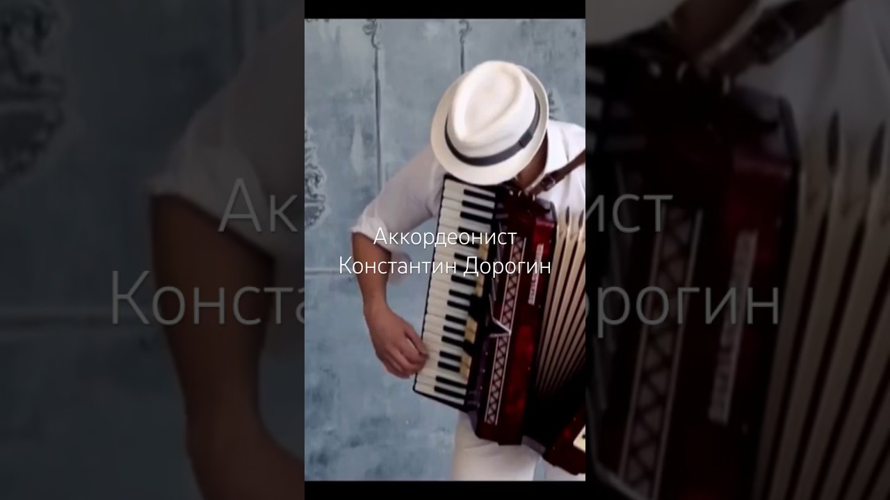 Аккордеонист виртуоз #аккордеонист