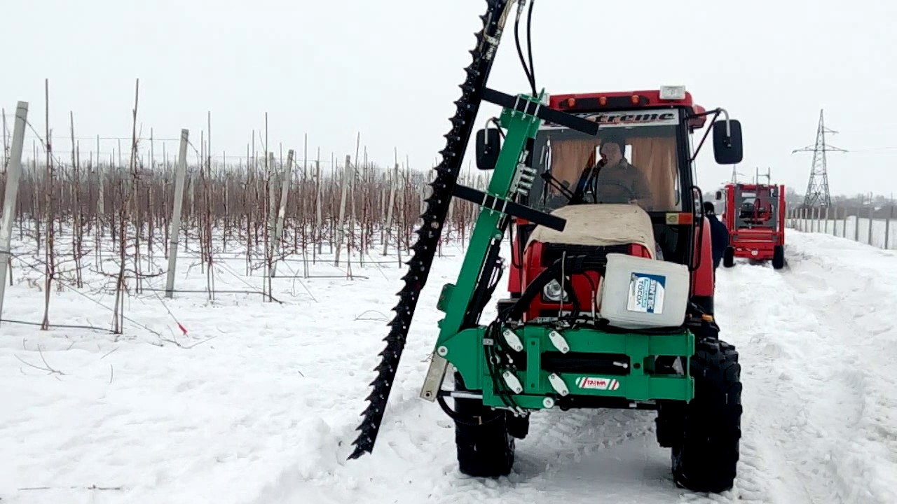 Обрезчик контурный для сада яблони, мтз 921. Обрезка интенсивного сада