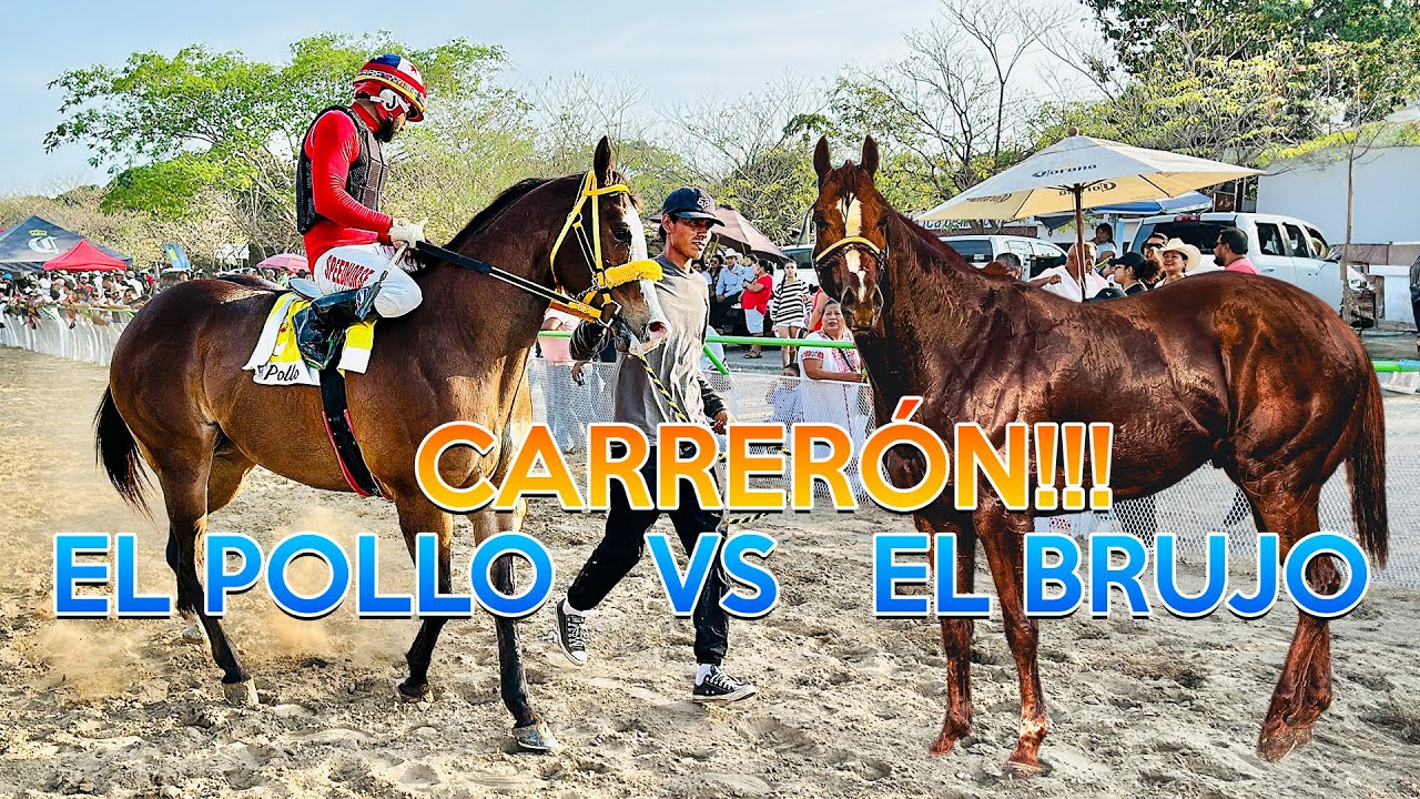 CARRERON!!! - EL BRUJO VS EL POLLO  -  HUATULCO OAX.
