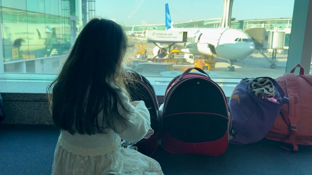 Flying from Turkey to Japan with Our Two Cats | International Move 猫２匹と一緒にトルコから日本へ✈️
