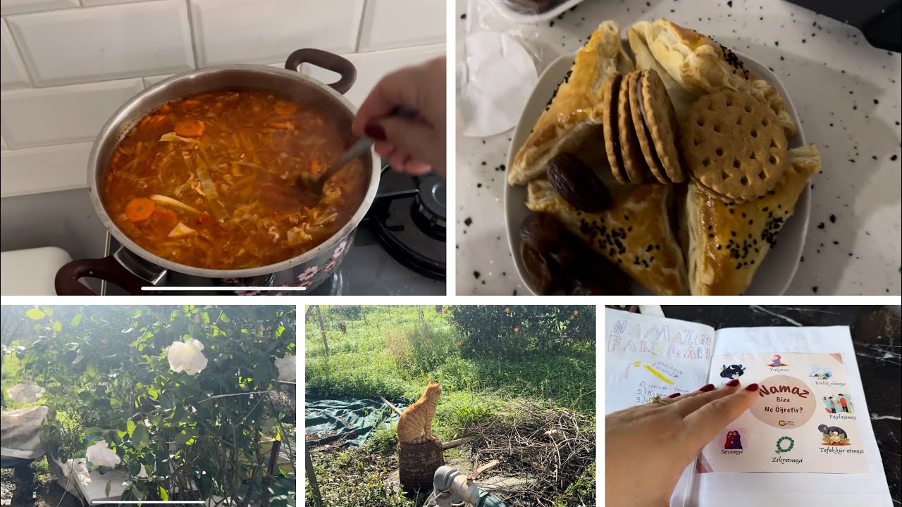 BENİM OĞLUMA ONLAR SATAŞIYOR🥹KİMSEYLE KAVGA ETMEZ🐈KAYNANA KAYNATASINI G&Ouml;RESİ GELMİŞ