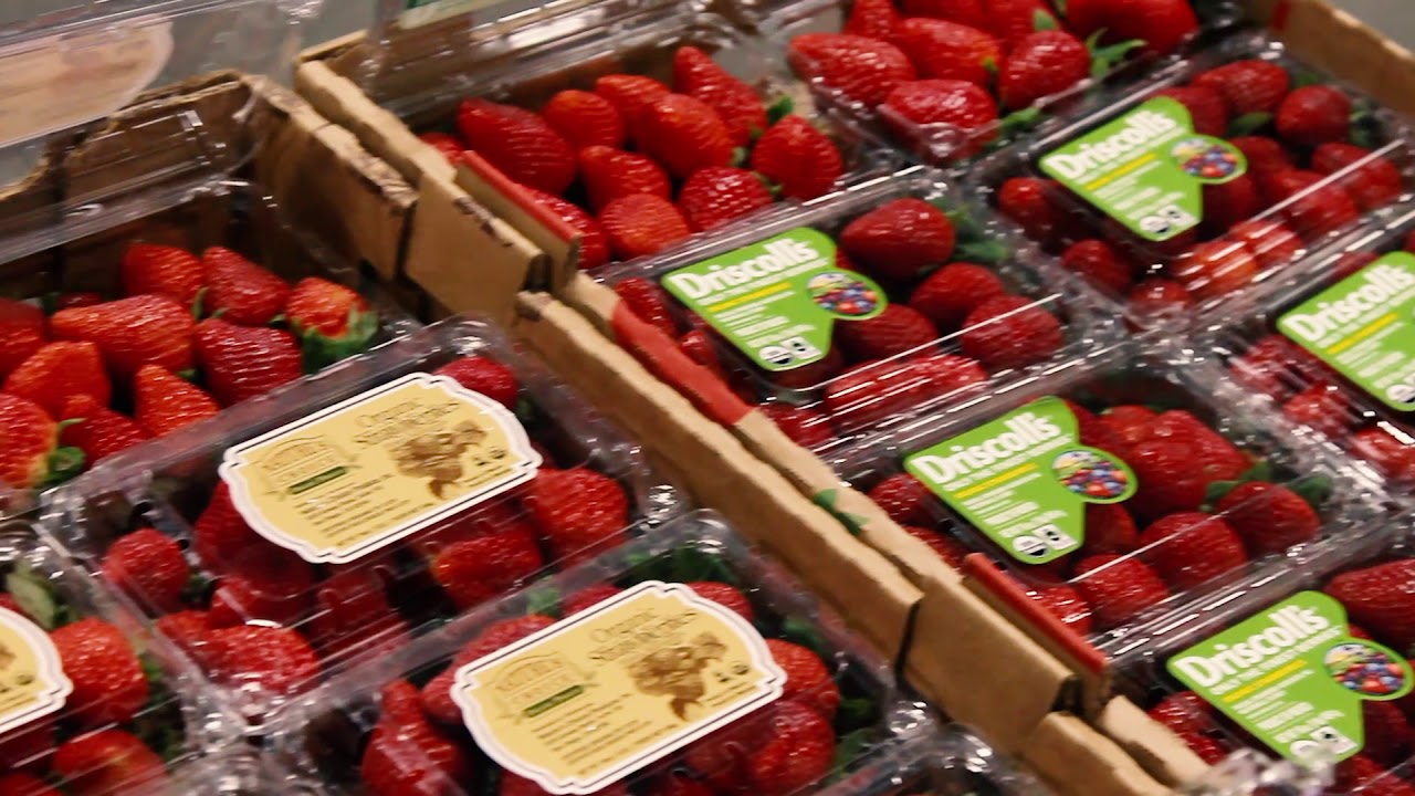 Produce Insider - FeBLUEary // 2.9.18