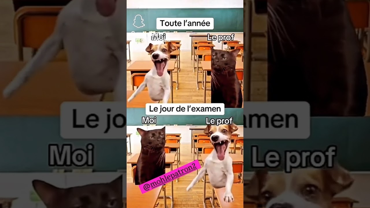 #bac2024