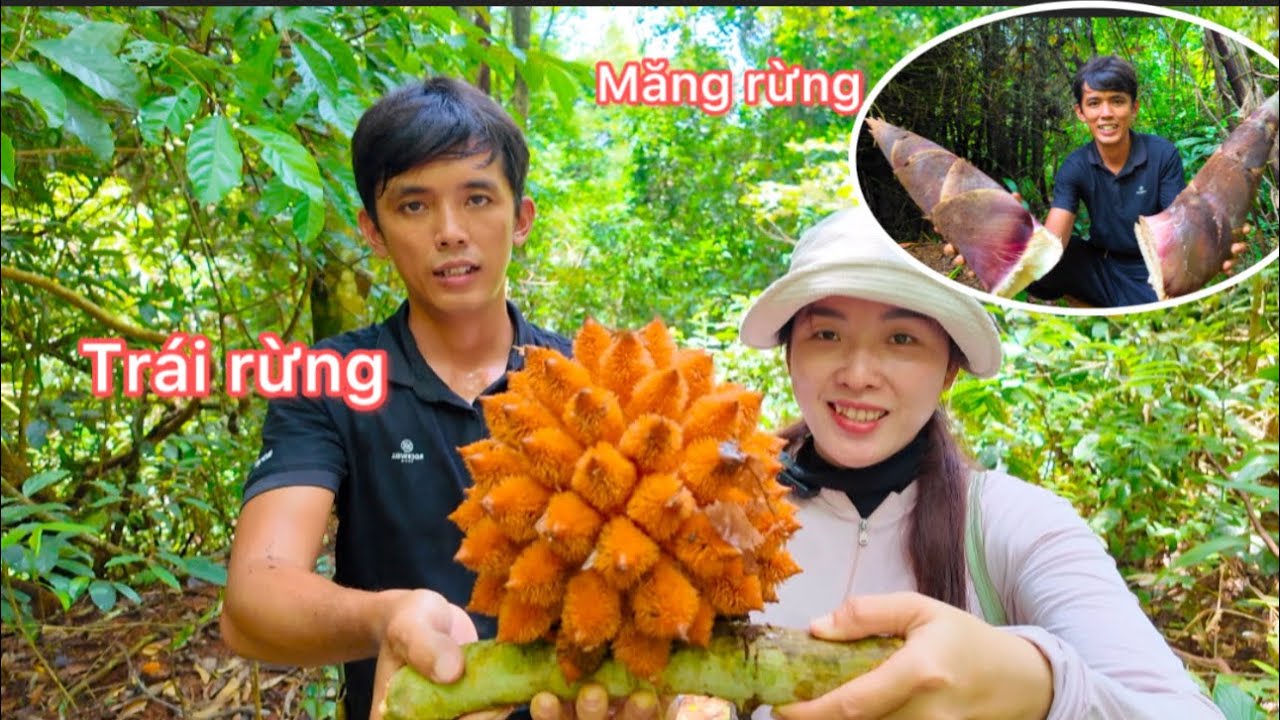 Hôm Nay Mai Và Anh Sang , Mấy Đứa Vào Rừng Lấy Măng Tre Gai Về Nấu Bữa Cơm Cùng Gia Đình