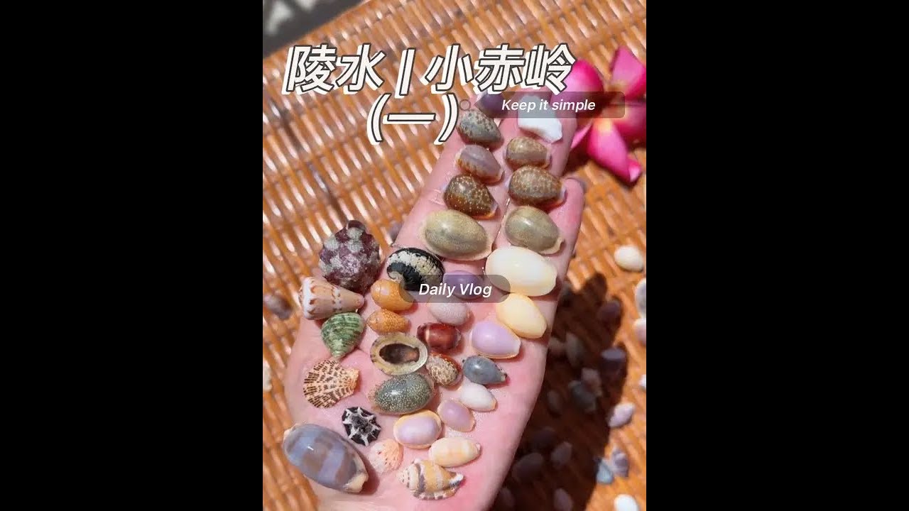 海南陵水清水湾小赤岭 导航温德姆酒店右小路进海滩 海胆壳看运气 贝壳有时多有时少 沙滩难见需海里捞 后续多发捡贝壳 我住一周 #大海的馈赠 #捡贝壳 #万物皆可盘 #海南#青年创作者成长计划